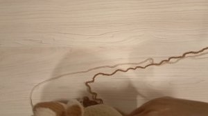 СП "Ликвидация 7". Неделя 5