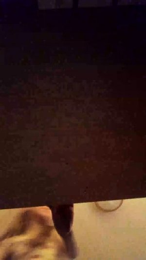 сегодня я ночую под столом в наших домиках с Никой на видеосвязи.