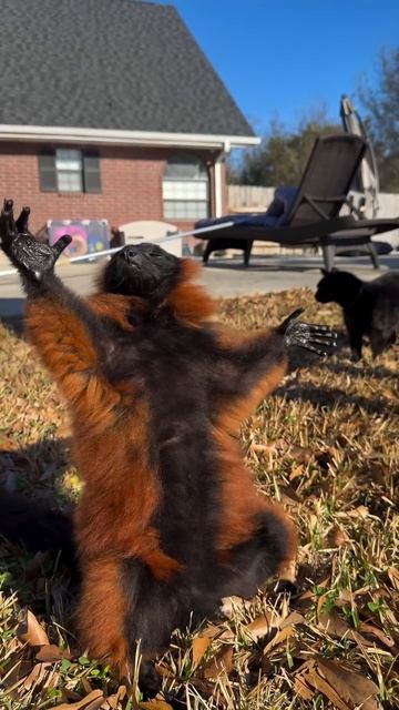 Я в первый день, когда выглянет солнце смотреть онлайн