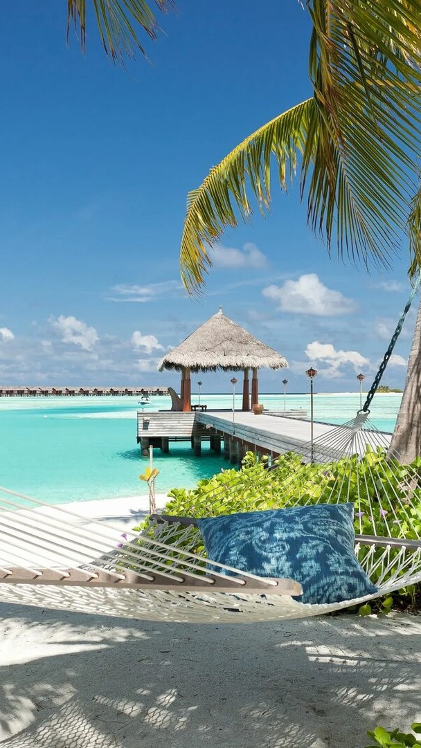 KISS ME - $ MISSED MY CHANCE $ - ТРЕВОЖНАЯ