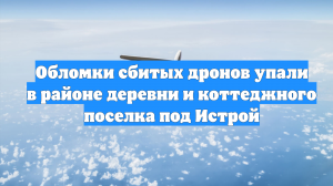 Обломки сбитых дронов упали в районе деревни и коттеджного поселка под Истрой