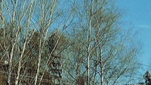 вечера в разных точках