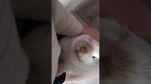 лакомый край ❤️🧡💛💚🩵💙💜!💖