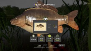 КРАСИВАЯ РЫБА НА МЕДНОМ ЗА ТРОФЕЯМИ ЩУКИ И УСАЧА В РУССКОЙ РЫБАЛКЕ 4 СТРИМ