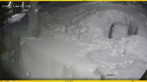 Месяц одного двора