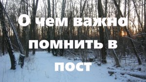 Перед началом Великого поста