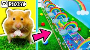 Гонка хомяков по радужной трассе ️_🌈 Хомяк Хомура
