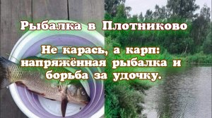 Рыбалка в Плотниково.  Не карась, а карп: напряжённая рыбалка и борьба за удочку.