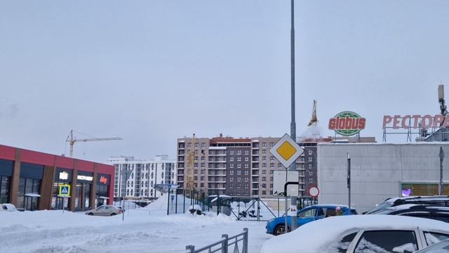 Обзорное