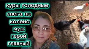 Голодные куры Нас завалило Зима не хочет уходить Слава чистит снег