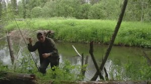 Ловля Хариуса , Лесная Жизнь