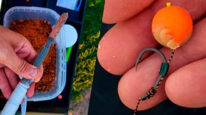 Рыбалка на Карпа на флэт фидер и карповые монтажи (2)