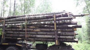 Дрова в России 1500 р. за лесовоз. Не МОЖЕТ БЫТЬ?!