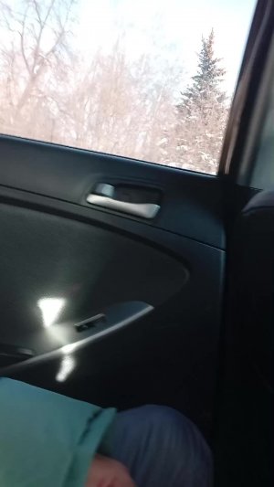 едим в Некрасова