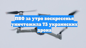 ПВО за утро воскресенья уничтожила 73 украинских дрона