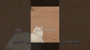 Краткий пересказ фильма НОВИНКА