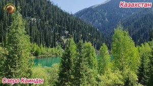 Озеро "Каинды" Алматы. Казахстан🔥🔥🔥