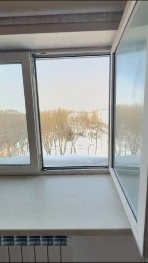 VID-20260222-WA0000