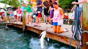 NEW! America′s FHV. FUNNIEST Animal Videos Ever | AFV Wild Animals Encounters Caught on Camera