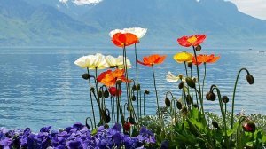 СТРЕЛЬЦЫ. 💮🌸🍀 Ваш МАРТ  2026 года.✨ Таро-прогноз.