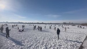 Масленица. Парк Дельфин. Воронеж