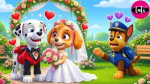 Щенячий патруль и Маршалл. Залипательное видео. Мультфильм для детей и малышей. Анимация 279