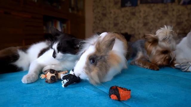 😳 Они получили суперсилы! Рождение героев смотреть онлайн