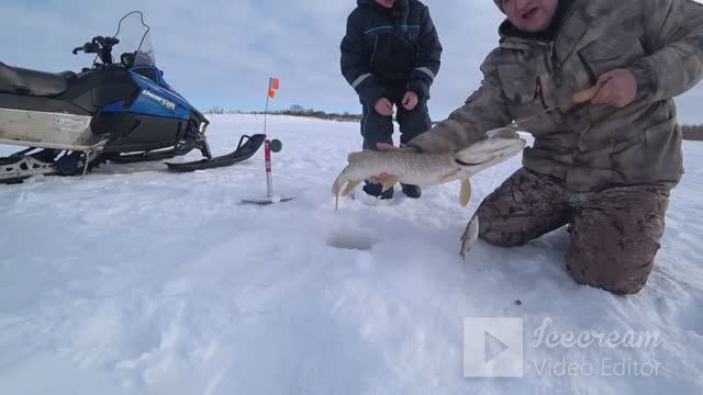 порыбачил на жерлецы.поймал трофейную щуку смотреть онлайн