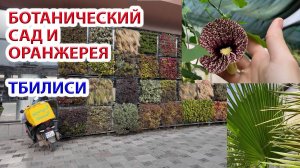 Ботанический сад, оранжерея Тбилиси