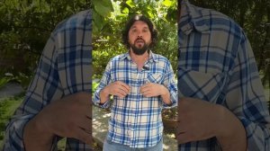 Тантрический Кемп с Георгием Голобоковым в Турции