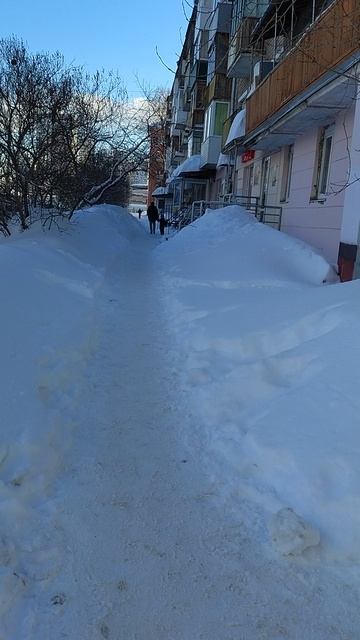 №1533 ул. Газеты Звезда. 19 февраля 2026 г., 16:37:39 VID_20260219_163709001