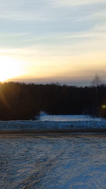 Закат над лесом 21.02.2026.