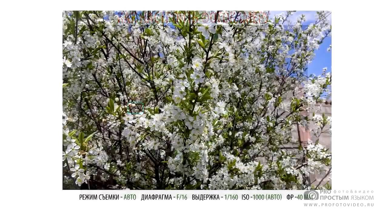 Photography39 смотреть онлайн