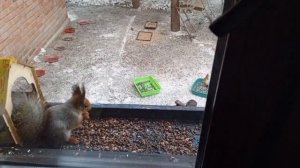 Прощёное воскресенье