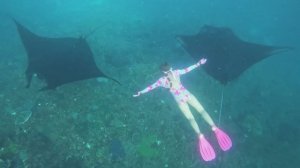 Indonesia. Bali. Nusa Penida. Manta point, Gamat bay, Wall point - Индонезия. Бали. Нуса Пенида 3