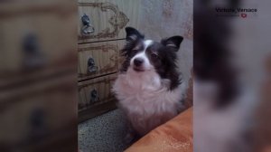 С Прощеным воскресеньем! #топ #праздник