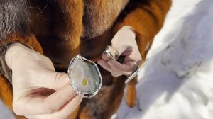 Россыпь солнечных минералов