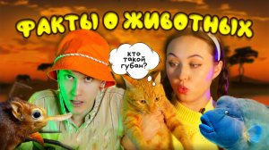 КОТ УЧЁНЫЙ | ФАКТЫ О ЖИВОТНЫХ
