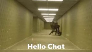 здравствуй, чат!