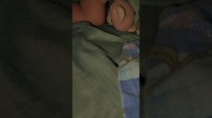 лазим по бисерам первое сейчас часть