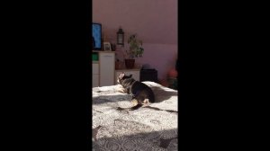 Рикки балдеет!