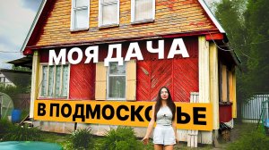 Моя дача до Ziskind Village