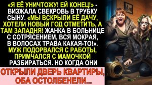 Истории из жизни| Залезли на дачу невестки без спроса |Аудио рассказы|Жизненные истории