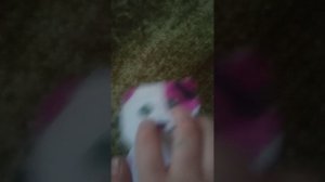 VID_20260222_095902.mp4