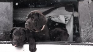 Помет "B" - 01.11.2025