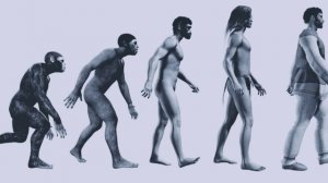 Эволюция древних людей | Лекция Для Сна