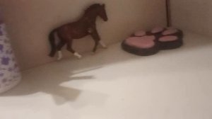 Делаю дикор СТУДИИ