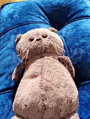 типичный Басик