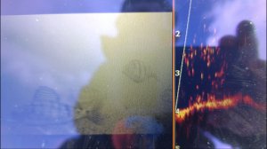 Судак с окунем, под стаей леща.