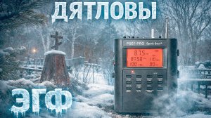 ШОК! ОТВЕТ души рассказали, как умерли туристы Дятлова. ЭГФ-сеанс.